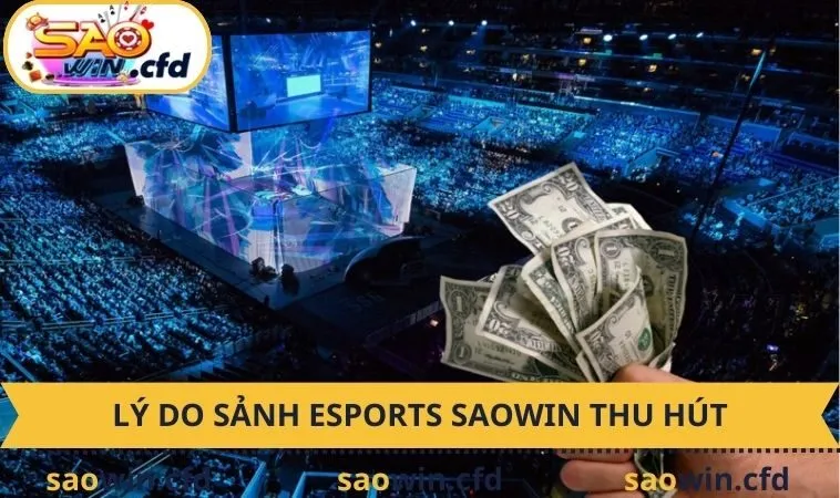 Lý do sảnh Esports SAOWIN thu hút